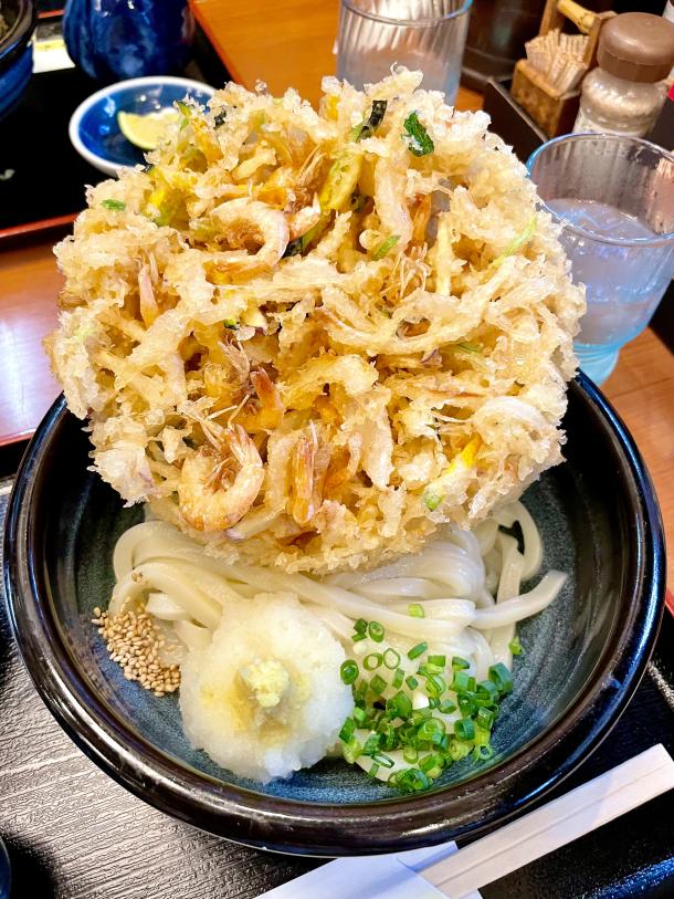 ヘリコプターの旅〜香川県へうどんを食べに〜