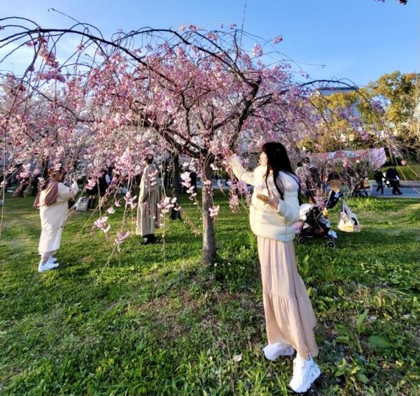 美しいお城と桜〜桜の名所「大阪城公園」へ〜